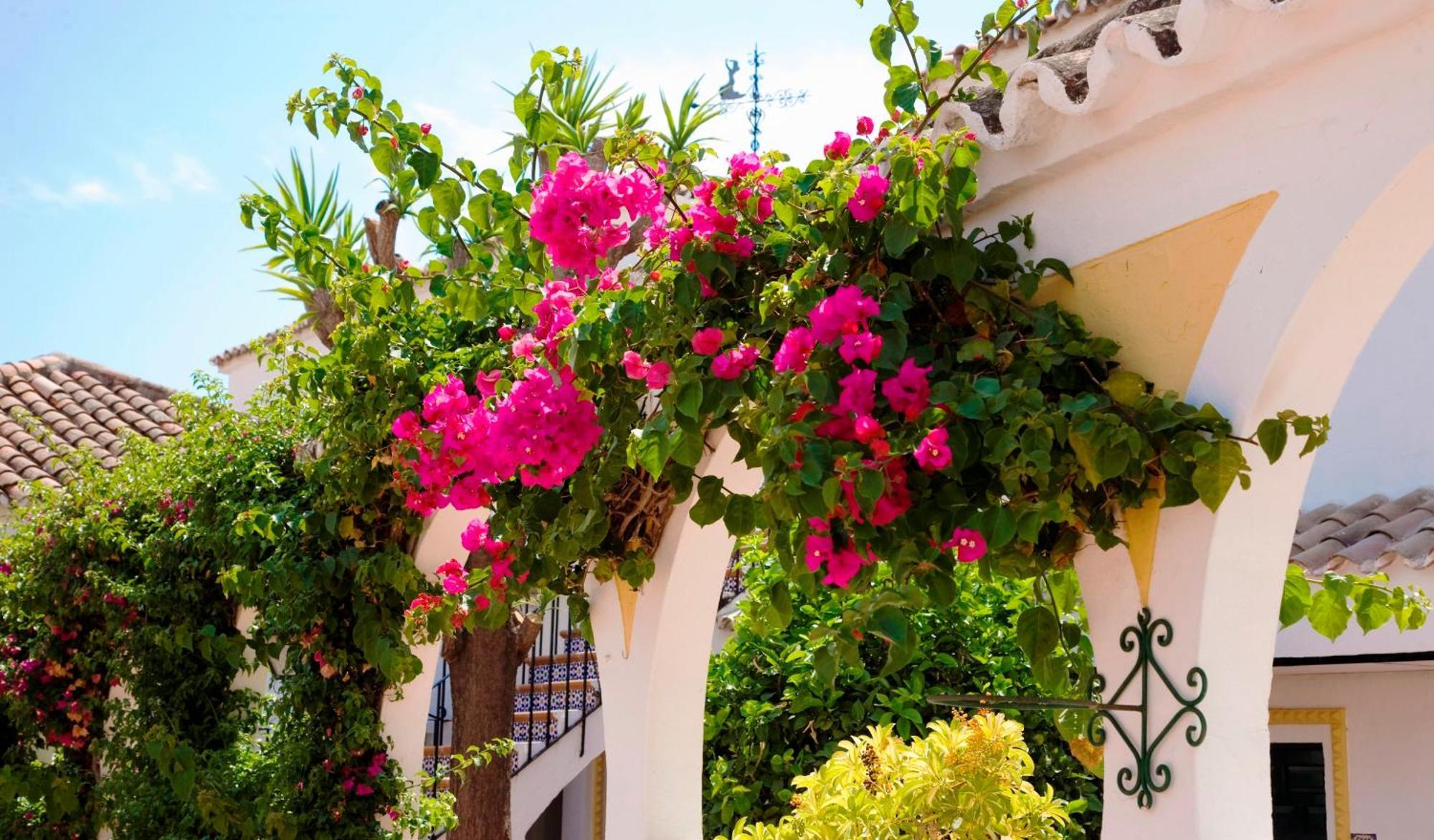 Globales Pueblo Andaluz Hotel San Pedro de Alcantara Exterior photo